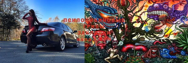 спиды Беломорск