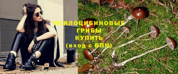 спиды Беломорск